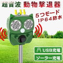 P5倍+最大2,000円OFFクーポン配布 動物撃退器 害獣撃退器 猫よけ 害獣 カラスよけ ねずみ駆除 ゴキブリ対策 超音波 強力 ネズミ駆除 鳥よけ 5モー...