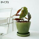 植木鉢 多肉植物 陶器鉢 育苗ポット プランター 底穴付き セラミック植木鉢 サボテン鉢 園芸 花瓶 小型植物適用 陶器 お洒落 視覚の魅力 おうちじかん タイ...