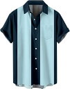 アロハシャツ カジュアルシャツ オシャレ ストライプ ビジネス カジュアル メンズ 半袖 夏服 シャツ 夏 レギュラーフィット スリムフィット 夏服 御洒落 大きいサイズ 20代 30代 40代 5