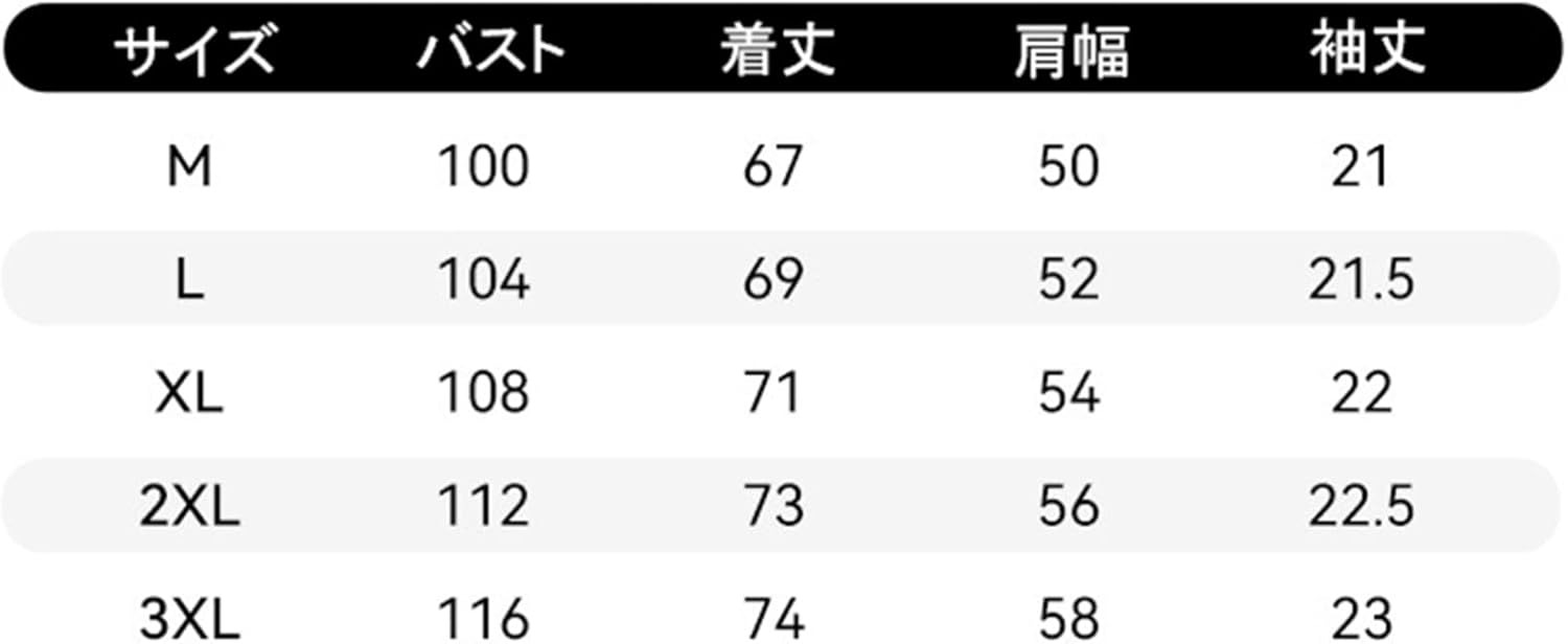 メンズ Tシャツ ポロシャツ 五分袖 シルエット サマー 折り襟 ハーフファスナー 薄手 カジュアル 通勤 通学 運動 ゆったり かっこいい 日系 無地 大きめ