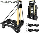 キャリーカート 台車 アウトドア 折り畳み式 カート キャリー 買い物カート 運ぶカート 運動会 ショッピング用 超コンパクト 防災用品 キャンプ用 旅行用品 頑丈 軽量 運搬 固定ロープ付き 静音 耐荷重60KG/250KG