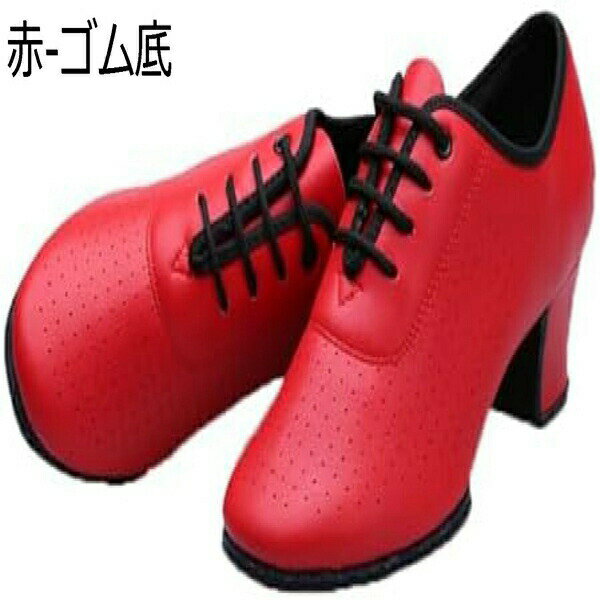 ダンスシューズ レディース 女性用 モダン 社交ダンスシューズ 5cmハイヒール PU革 穴あき 通気 レースアップ ラテンシューズ ダンス ステージ 練習用 演奏会 舞台