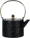 鉄瓶 急須 ティーポット 粒子鉄ポット 茶漉し 円形 和食器 鋳鉄ケトル 鋳物 やかん 直火電気ケトル対応 伝統工芸 和モダン 鉄分補給 ホーローなし リーフテ...