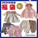 2024年 新春福袋 ベビー服 子ども服 女の子 6点セット ワンピース 女の子 秋冬 韓国 子供服 セットアップ 入学式 スーツ 女の子 卒園式 子供服 スーツ 女の子 トップス 防寒 スウェットパンツ パーカー 裏起毛 ワンピース インナー 靴下 73 80 90 100 110 120 130cm