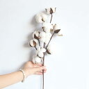 綿花 コットン 木綿 3本 53cm 造花 枯れない花 花束 ブーケ 観葉植物 人工観葉植物 ドライフラワー フラワーアレンジメント インテリア 部屋 喫茶店 ...