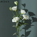 枯れない花 造花 キキョウで 多頭 本物そっくり 手作り 飾り花 造花芸術 結婚式 写真撮影 お祝い 喫茶店 誕生日 美術館 INS風 プレゼント 長持ち 水やり不要 ミニブーケ シルク造花 1束 ホワイト