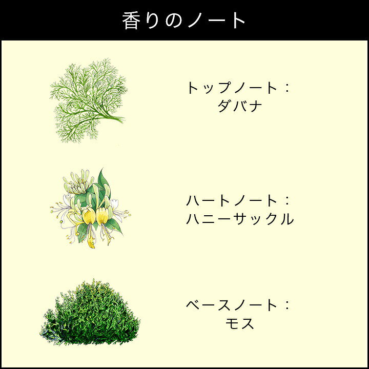 ジルサンダー 香水 レディース イヴローズ EDT・SP 30ml 送料込み(沖縄・離島を除く) 香水 フレグランス プレゼント 贈り物 ギフト EVEROSE JIL SANDER