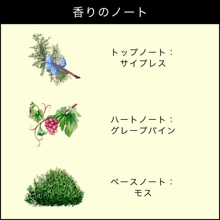 【ポイント5倍 4日20:00〜11日01:59】【送料無料】ジョー マローン ロンドン サイプレス & グレープバイン コロン インテンス（ギフトボックス入り）【ジョーマローン ジョーマローンロンドン】（香水 フレグランス）（ギフト）
