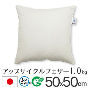 fabrizm アップサイクルフェザー ヌードクッション 50角 50×50cm 1.0kg入 日本製 あす楽対応 中材 中身 中芯 背当て 緑の募金 クッションカバー用