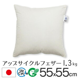 fabrizm アップサイクルフェザー ヌードクッション 55角 55×55cm 1.3kg入 日本製 あす楽対応 中材 中身 中芯 背当て 緑の募金 クッションカバー用
