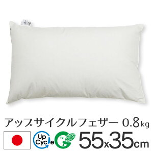 fabrizm アップサイクルフェザー ヌードクッション 長方形L 55×35cm 0.8kg入 日本製 あす楽対応 中材 中身 中芯 背当て 緑の募金 クッションカバー用