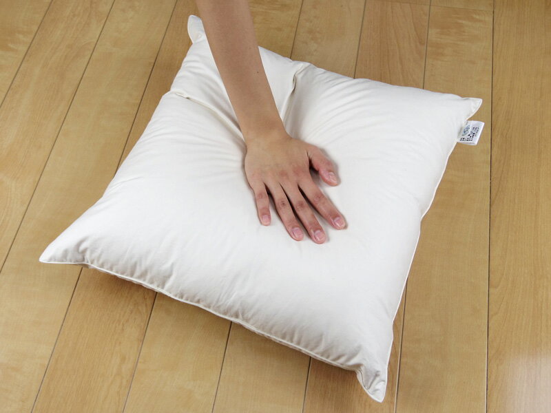 fabrizm アップサイクルフェザー ヌードクッション 35角 35×35cm 0.55kg入 日本製 中材 中身 中芯 背当て 緑の募金 クッションカバー用