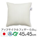 fabrizm アップサイクルフェザー ヌードクッション 45角 45×45cm 0.8kg入 日本製 あす楽対応 中材 中身 中芯 背当て 緑の募金 クッションカバー用