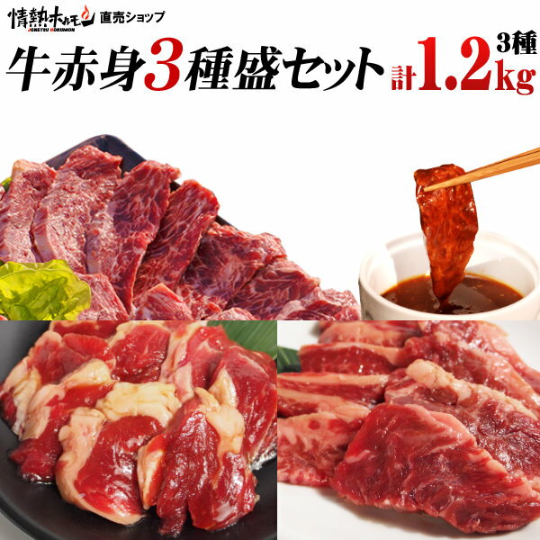 情熱ホルモン 焼き肉 焼肉 赤身 セット 送料無料 計1.2kg バーベキューセット 焼肉セット メガ盛 送料無料 牛赤身3種盛り 肉 食品 にく（ハラミ 牛ロース ジューシーカルビ）(北海道・沖縄配送は別途送料追加)