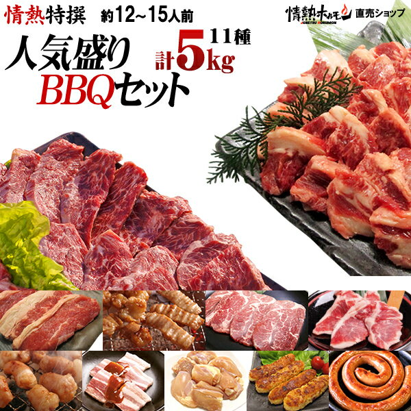 焼肉 計5kg 焼肉セット バーベキューセット 送料無料 焼肉 12-15人前 特撰人気盛りBBQセット！ハラミ カルビ 牛バラロースなど計11種 牛肉【A群☆送料無料セット】