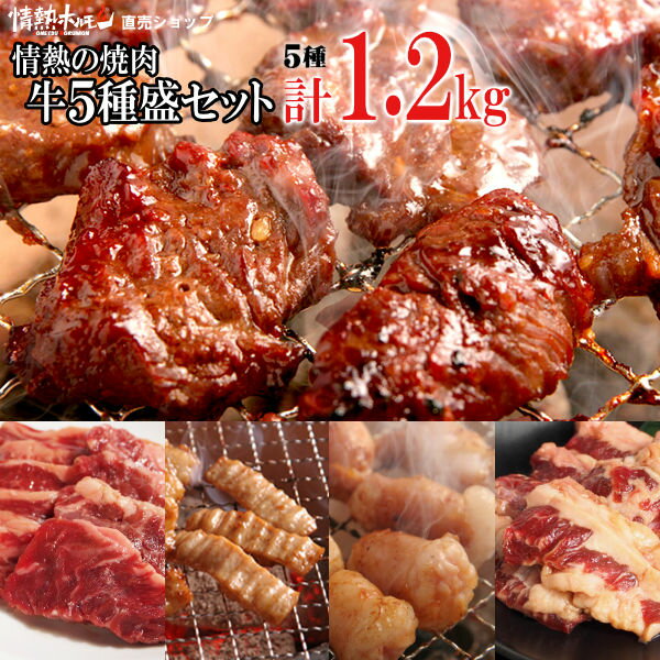 クーポンで 40％OFF 焼き肉 焼肉 計1.2kg 情熱の 焼肉 牛5種盛りセット (ハラミ テッチャン カルビ マルチョウ) バーベキュー BBQ 牛肉 肉（北海道・沖縄配送は別途送料追加）