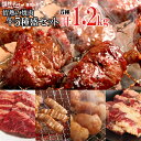 焼き肉 焼肉 計1.2kg 情熱の 焼肉 牛5種盛りセット (ハラミ テッチャン カルビ マルチョウ) バーベキュー BBQ 牛肉 肉(北海道・沖縄配送は別途送料追加)