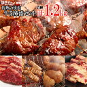 焼き肉 焼肉 計1.2kg 情熱の 焼肉 牛5種盛りセット (ハラミ テッチャン カルビ マルチョウ) バーベキュー BBQ 牛肉 肉（北海道・沖縄配送は別途送料追加）