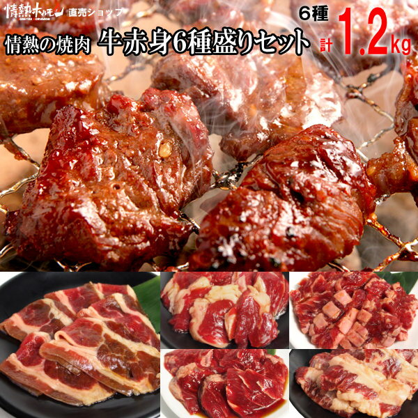 情熱ホルモン 焼き肉 牛 赤身 6種盛りセット 3-4人前 1.2kg 焼肉セット 送料無料 焼肉 セット 焼き肉セット バーベキューセット ハラミ カルビ 他(北海道沖縄配送時は別途送料追加)