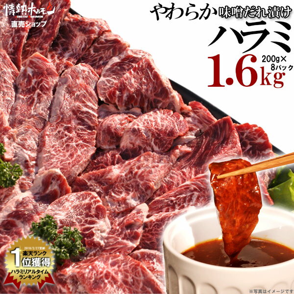 肉 焼肉 ハラミ 超メガ盛セット やわらか ハラミ 味噌だれ漬け 1.6kg (北海道・沖縄配送は別途送料追加) 焼肉セット 肉 バーベキュー 肉 バーベキューセット BBQ にく