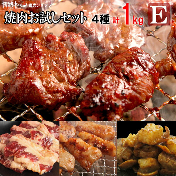 肉 食品 焼き肉 焼肉 計1kg 情熱の お試し 焼肉セット【E】ハラミ 牛ホルモン 牛カルビ 豚トロ バーベキュー BBQ 牛肉 肉（北海道・沖縄配送は別途送料追加）