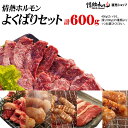 焼肉 バーベキュー 肉 送料無料 情熱ホルモンよくばりセット(計600g)(北海道・沖縄配送時は別途送料追加) BBQ 肉 焼肉セット バーベキューセット BBQセット