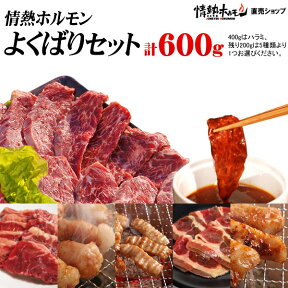 焼肉 バーベキュー 肉 送料無料 情熱ホルモン よくばりセット 計600g BBQ 肉 焼肉セット バーベキューセット BBQセット 食品 にく 北海道沖縄配送時は別途送料追加