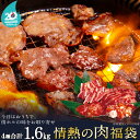 【期間限定エントリーでP7倍】計1.6kg 情熱の肉福袋 2025 情熱ホルモン 20周年記念 国産牛カルビ 黒毛和牛ホルモン ハラミ 訳あり牛タン 情ホル BBQ 牛肉 肉 北海道沖縄配送は別途送料追加