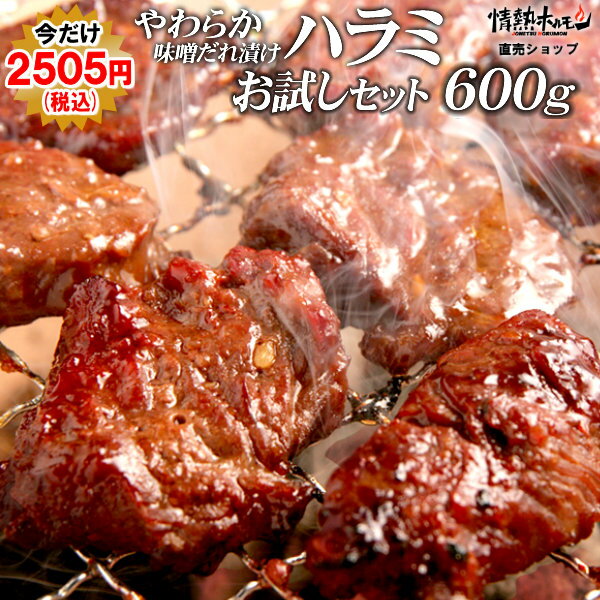 ハラミ 焼肉 やわらか ハラミ 味噌だれ漬け お試し セット 600g 焼肉セット バーベキュー 食 ...