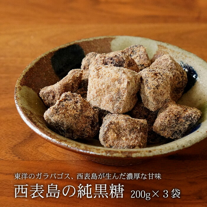 西表島の純黒糖 200g×3袋 西表黒糖 サトウキビ100％ 黒砂糖 送料無料