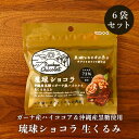 琉球ショコラ 生くるみ 30g×6袋 沖縄県産黒糖とガーナ産ハイカカオに生くるみの風味 送料無料