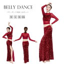 ベリーダンス レッスン着 セットアップ スパンコール トップス スカート 2点セット ベリーダンス レッスン着 練習着 衣装 セット ヒップスカーフ レッスンウ...