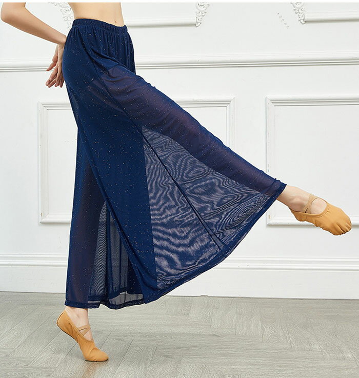 ダンスパンツ ダンスワイドパンツ ラメ入り ヨガパンツ ヨガウェア レディース 美脚パンツ シースルー サルエルパンツ ガウチョパンツ ベリーダンス ピラティス 衣装 社交ダンス ダンスウェア レッスンパンツ ラテンダンス衣装 インナーパンツ付 ボトムズ 2