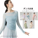 ダンス トップス メッシュ シースルー レディース 大人 バレエ トップス レッスン着 ダンス ウェア ヨガ バレエ ウェア 長袖 ストレッチ 動きやすい 発表会 練習着 演出用 バレエ ヨガ ダンスウェア ダンス トップス 美しい エレガント パープル グリーン ピンク ブルー