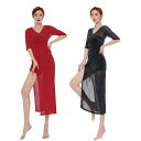 ベリーダンス 衣装 シースルーワンピース ベリーダンス レッスン着 練習着 衣装 ラメ入り ダンス 衣装 ステージ衣装 社交ダンス レッスンウェア レディース ...