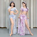 ベリーダンス衣装 セット レッスン着 セットアップ メッシュ ベリーダンス 衣装セット インナーパンツ付き ロング丈 スカート 半袖 Vネック トップス おしゃ...