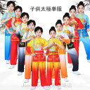 子供 太極拳 服 太極拳ウェア 上下セット 龍柄 グラデーション 武術服 カンフーウェア キッズ ジュニア 中華風 演武用 ステージ衣装 学園祭 文化祭 体育祭 イベント 舞台演出服 110-180cm 発表会 卒業式 ハロウイン コスプレ衣装 コスチューム 拳法 練習 気功 格闘技