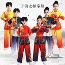 子供武術服 龍柄 子供用太極拳服 演舞服 上下セット 太極拳ウェア カンフー服 キッズ ジュニア 半袖 中華風 演武用 ステージ衣装 舞台演出服 学園祭 文化祭...