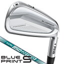 ピン ブループリント S アイアン 5本セット （#6/#7/#8/#9/PW） N．S．PRO 850GH neo スチールシャフト 右利き用 PING BLUE PRINT S ア..