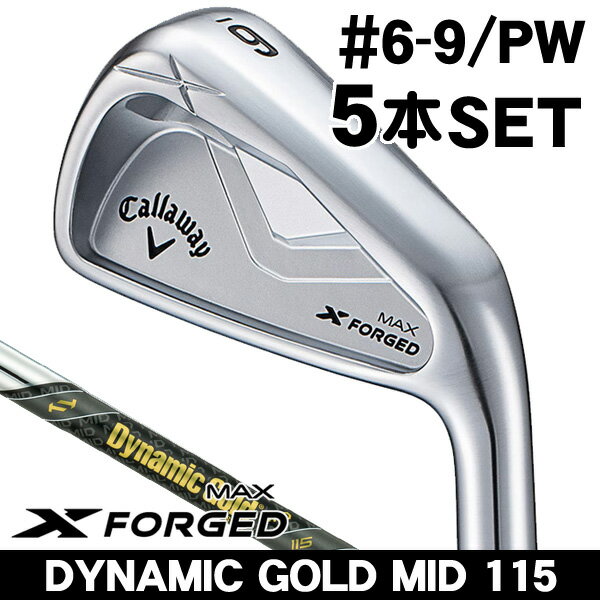 Dynamic Gold ダイナミックゴールド S200 2〜pw 9本セット 楽天市場】ダイナミックゴールド セットの通販