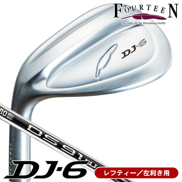 レフティー フォーティーン DJ6 N．S．PRO DS91Wスチ