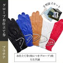 最大10%OFFクーポン発行中【5/2〜5/6】 アスキュー オーダーメイド ゴルフ手袋 お仕立て券 (プラチナ) 珍しい おしゃれ おすすめ 人気