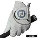 最大10%OFFクーポン発行中【5/2〜5/6】 フットジョイ 2022 ハイパーフレックス FGHFLH ゴルフ手袋 (右手着用) 珍しい おしゃれ おすすめ...