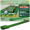 タバタ グリーンパターマット ライン入り 2.45+ナビ (GV0127)