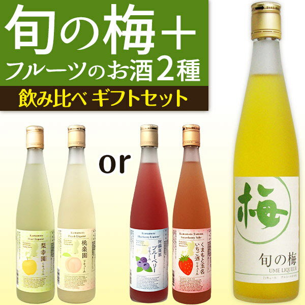 2パターンから選べる 旬の梅＋フルーツリキュール2種 飲み比べギフトセット 本格米焼酎をベースに仕上げた梅酒と果実酒2種の3本セット お祝い 内祝い 誕生日プレゼントに 【送料無料】母の日ギ…