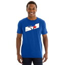 NEW ERA MLB APPAREL トロント 青色 ブルー チーム ストライプ スリーブ Tシャツ 灰色 グレー ブルージェイズ 半袖 【 TEAM STRIPE SLEEVE MLB APPAREL TSHIRT GREY 】 メンズファッション トップス Tシャツ
