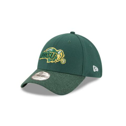 NEW ERA NCAA COLLECTION コレクション ノース スケートボード 緑 グリーン 【 STATE GREEN NCAA COLLECTION NORTH DAKOTA BISON VIGOR SHADE 39THIRTY STRETCH FIT 】 バッグ キャップ 帽子 メンズキャップ 帽子