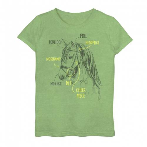 ブランド名Licensed Character性別girls (kids)商品名Horse And Tack Facts Text Graphic Teeカラー/Green/Apple