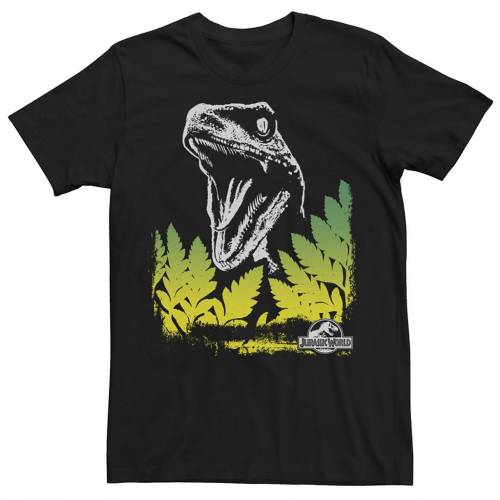 キャラクター Tシャツ 黒色 ブラック 【 LICENSED CHARACTER JURASSIC WORLD RAPTOR ROARING TEE / BLACK 】 メンズファッション トップス カットソー