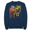 キャラクター フリース 紺色 ネイビー 【 LICENSED CHARACTER JURASSIC WORLD TWO T-REX COLOR POP CRAC...